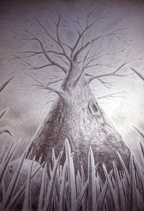 Pencil drawing of a bare tree rising over tall grass