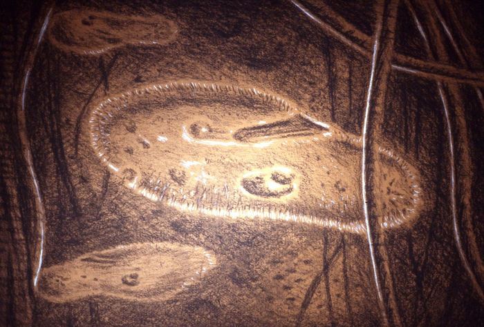Charcoal abstract of organic, lily-pad-like forms
