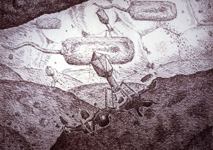 Pen-and-ink landscape of bacteriophages standing like machines on alien terrain